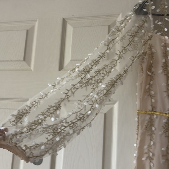 Elegant Cream Dress with Sheer Floral Overlay - Picture 3 of 5